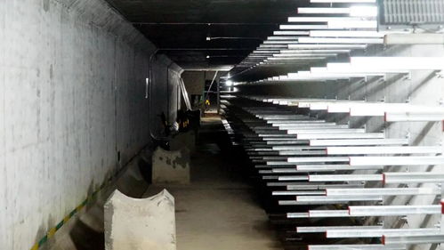 打造城市“生命線”，東海岸新城綜合管廊全面啟動(dòng)機(jī)電設(shè)備安裝